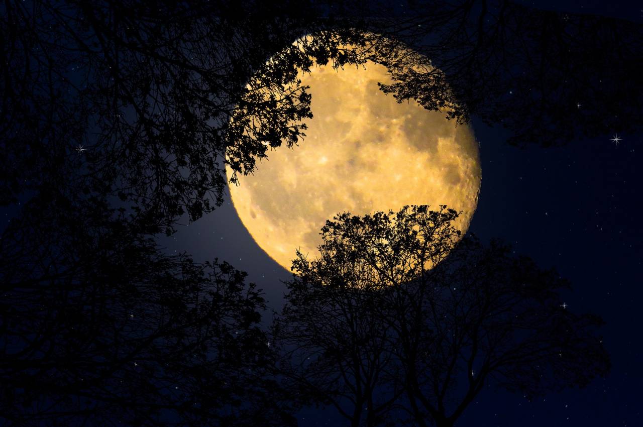 Entre Histoire et superstitions : les Pleines Lune de 2023 se dévoilent !