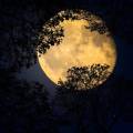 Entre Histoire et superstitions : les Pleines Lune de 2023 se dévoilent !