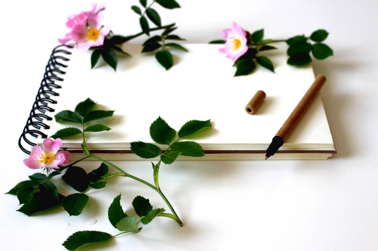 Bullet Journal spirituel : le guide pratique pour commencer dès maintenant !